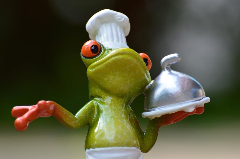 Asian Fusion Cuisine